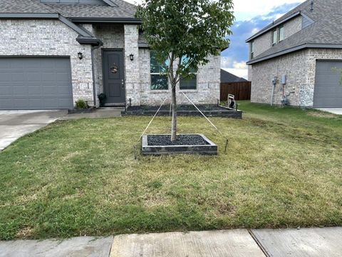 Stone tree ring and foundation bed