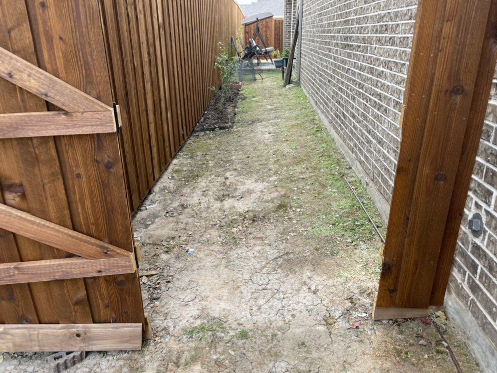 Before: bare dirt side yard