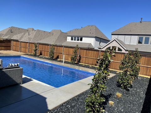 Pool and planting from the patio