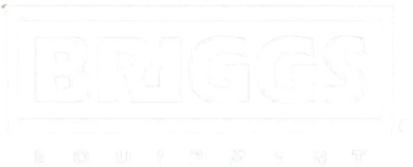 Briggs