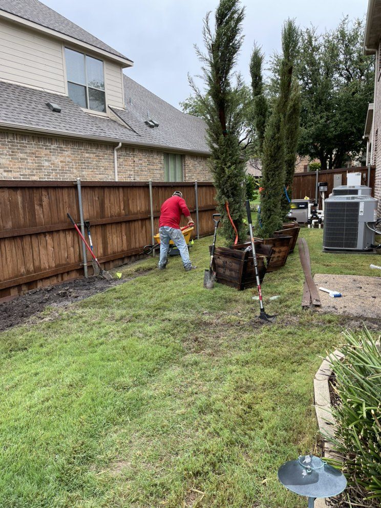 Vincent planting an Italian cypress privacy screen along a fence line