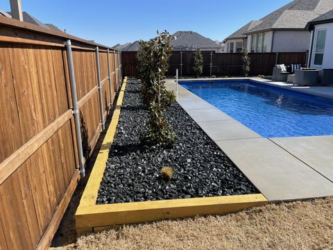 Tejas gravel bed with magnolias along the fence