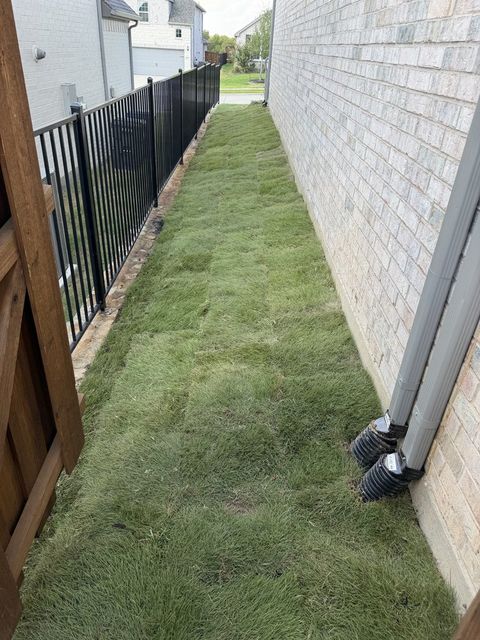 Zeon Zoysia side yard, McKinney