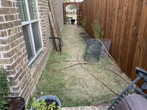 The side yard before clearing