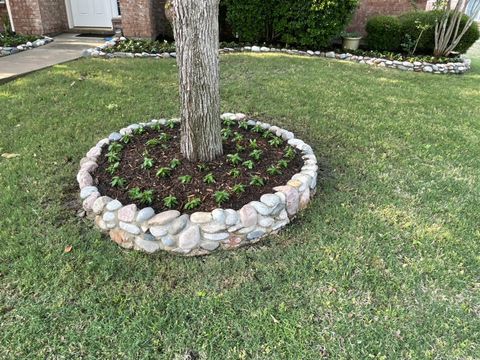 Vincas in a natural-grind mulch tree ring