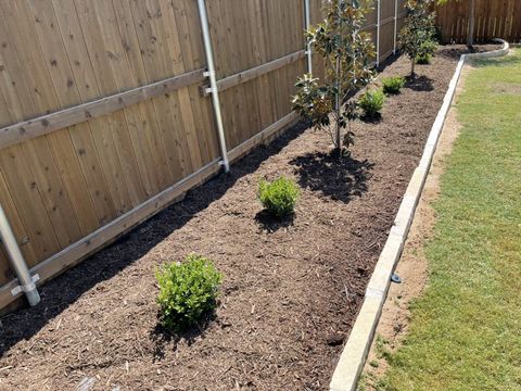New bed with young trees and boxwood