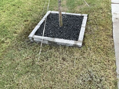 Chop-stone tree ring filled with black gravel