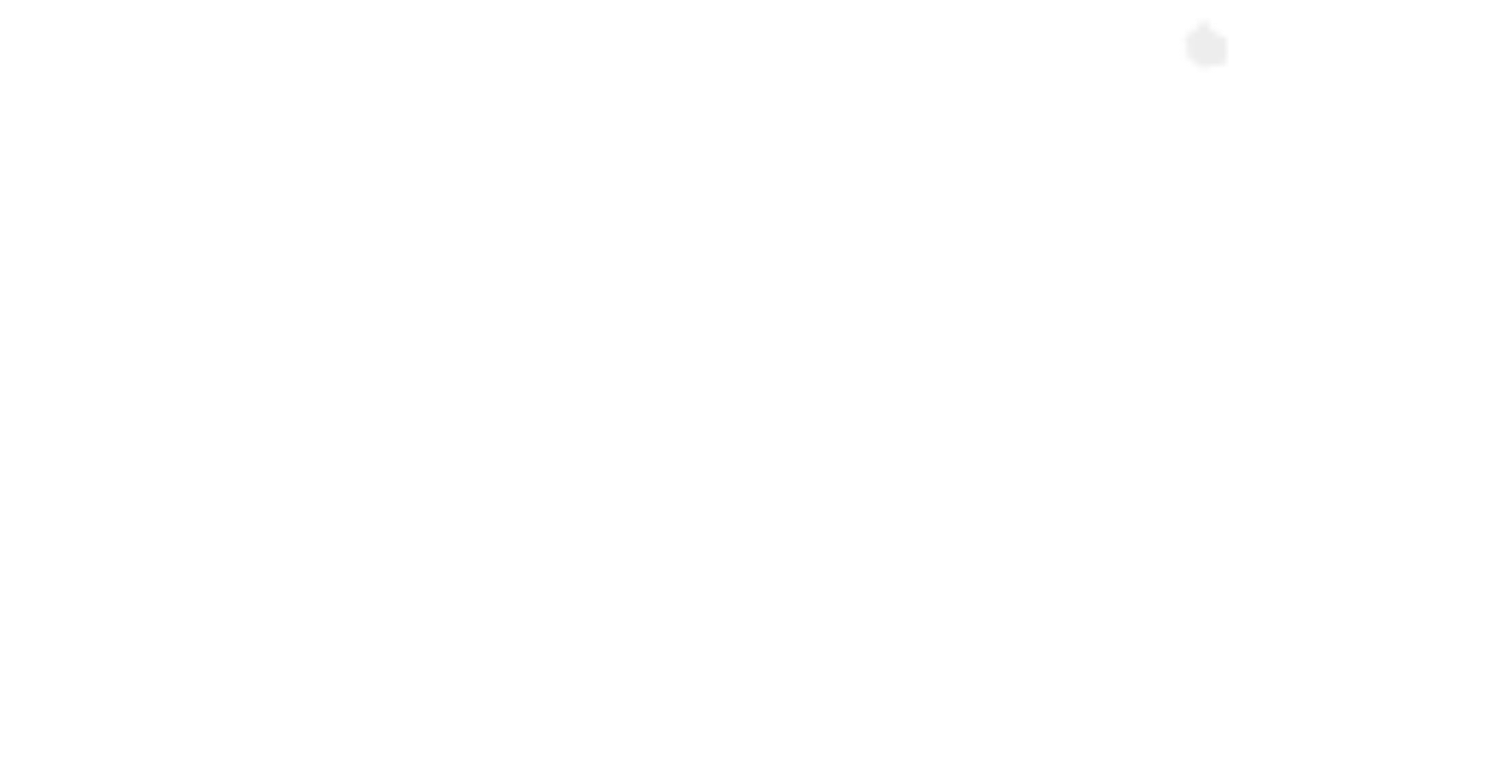 Levine Academy