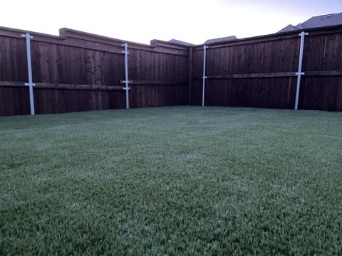 Backyard artificial turf