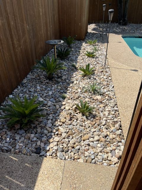 Barrel cactus and sago palm bed by a pool