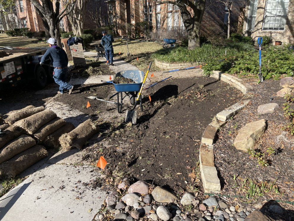 The crew laying sod and reworking irrigation on a front yard