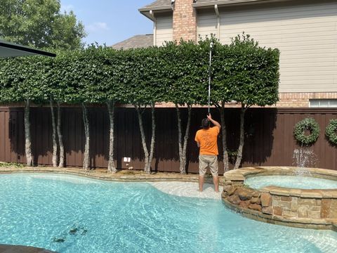 Poolside hedge trimming