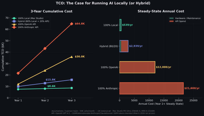 Total Cost of Ownership comparison: local vs API